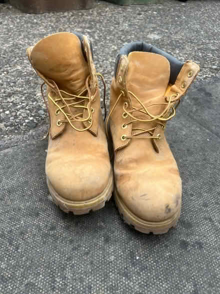 Photo of free Used Timberland shoes size 11 or 12 (Shirley, Majors Green B90) #1