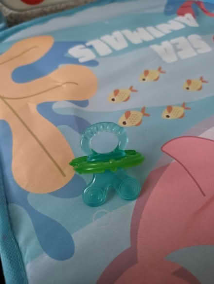 Photo of free Teething dummy (Sutton courtenay OX14) #1