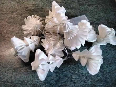 Photo of free White paper string lights Delapre (Delapre) #2