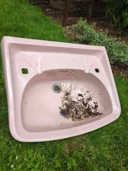 Photo of free Pink sink (Surrenden BN1) #1