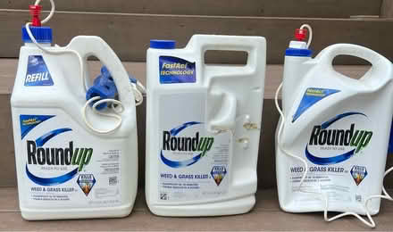 Photo of free Roundup (Broomall 19008) #2