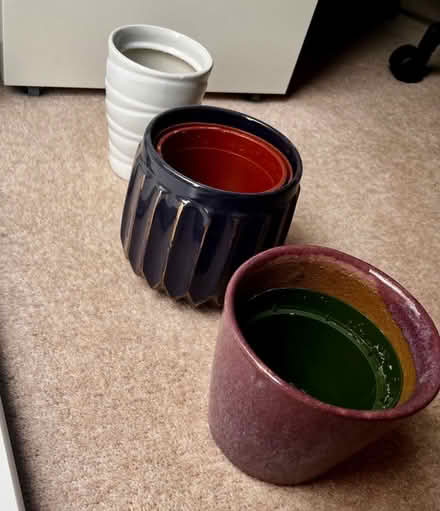 Photo of free Plant pots (Wandle Park) #1