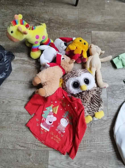 Photo of free Soft toys (Ashington) #1