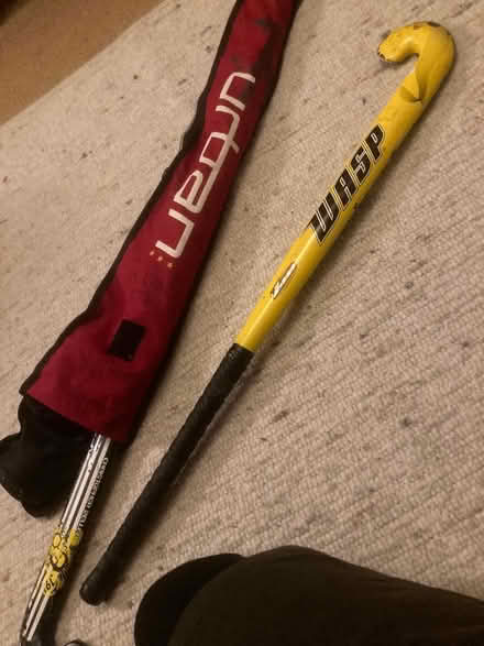 Photo of free 2 women’s/girls hockey sticks in case (West Hill BN1) #1