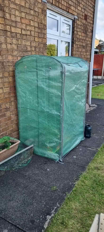 Photo of free Walk in greenhouse tent (Woodside, DY2) #2