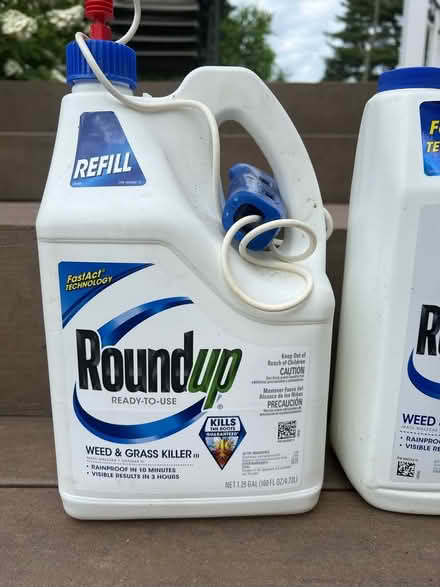 Photo of free Roundup (Broomall 19008) #1