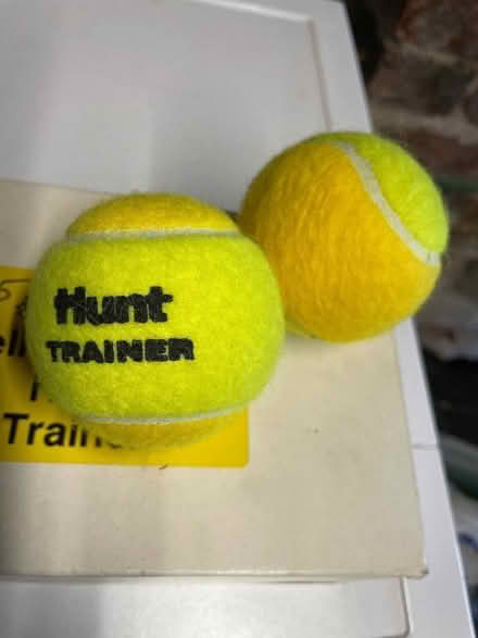 Photo of free Tennis Balls (Ware SG12) #1