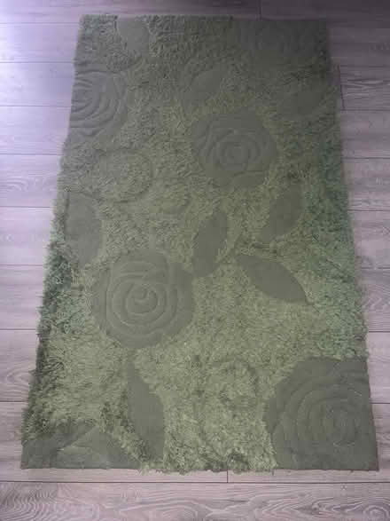 Photo of free Rug (W13) #1