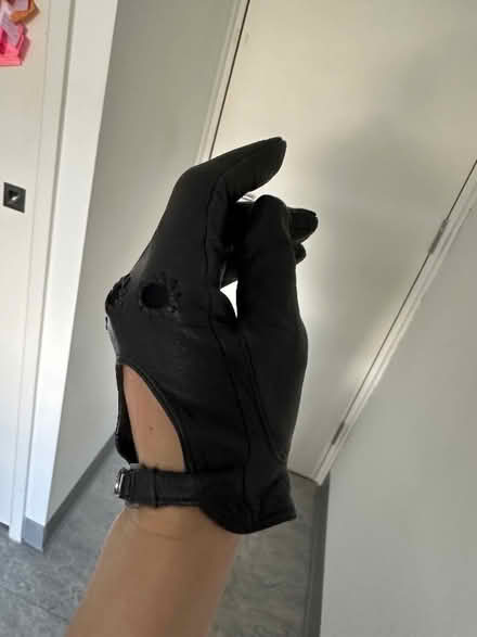 Photo of free Leather gloves (Cutteslowe OX2) #2