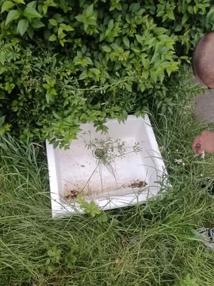 Photo of free Belfast sink (EH4) #1