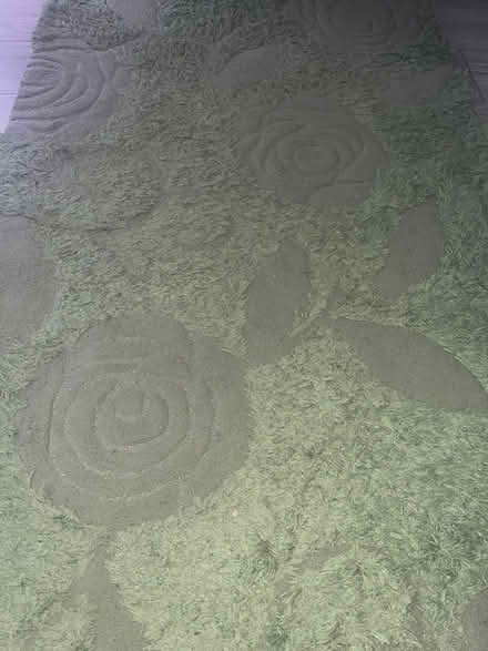 Photo of free Rug (W13) #2