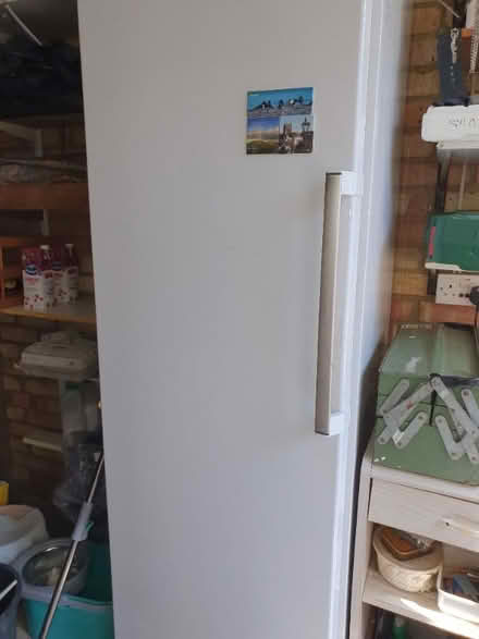 Photo of free Upright freezer . (Sherwood TN2) #2