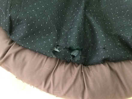 Photo of free Comfy padded cat/small dog bed. (Eye) #2