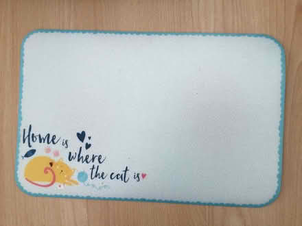 Photo of free Raised cat/small dog double bowl feeder and place mat. (Eye) #2