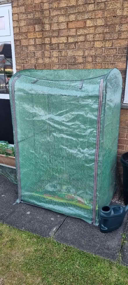 Photo of free Walk in greenhouse tent (Woodside, DY2) #1