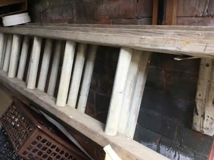 Photo of free 3 part ladder (North Road) #1