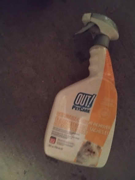 Photo of free Cat stain and odour remover (Barrhaven) #1
