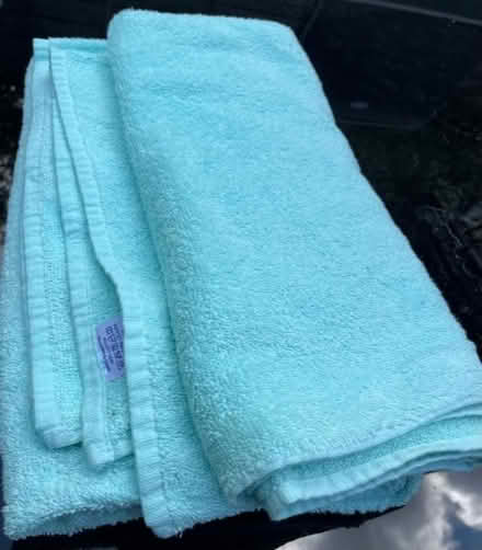Photo of free Two light green bath towels (Fleetville AL1) #1