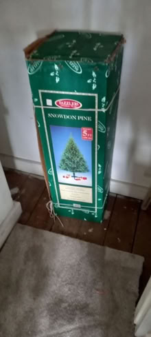 Photo of free Christmas Decorations (Edmonton N13) #2