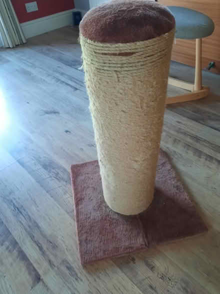 Photo of free Cat Scratch Post (Stroud GL5) #1