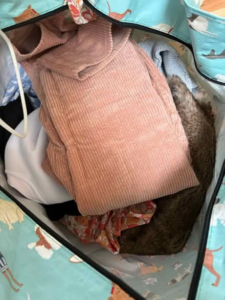 Photo of free 2 bags clothes mostly size 10 (LU1) #2