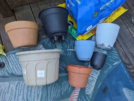 Photo of free Plant pots and dino planters (Kingstown) #1