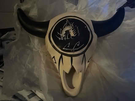 Photo of free Ceramic cowskull (Glasco) #3