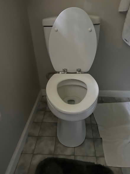 Photo of free Toilet in good condition (Dudley Mountain Rd) #1