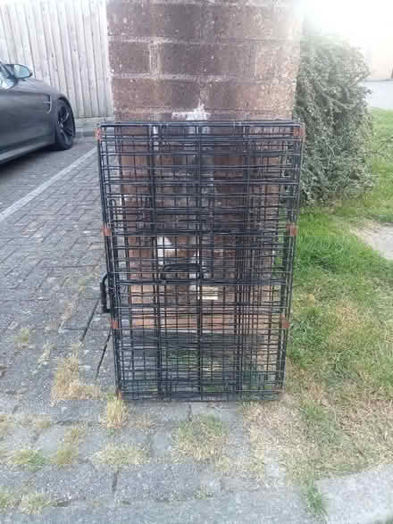 Photo of free Folding Metal Pet Cage (PL4) #3
