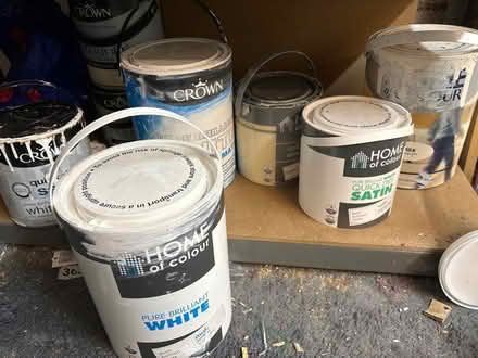 Photo of free White & cream paint (HP12) #1