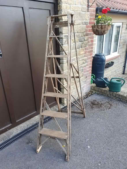 Photo of free Wooden Step Ladders (Chilcompton) #2