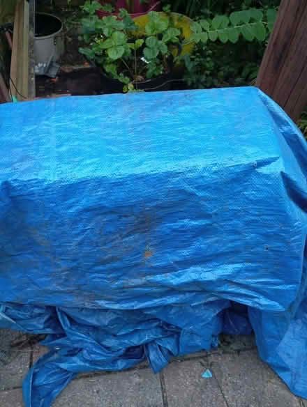 Photo of free Shoe rack cupboard (Stoke Row RG9) #3