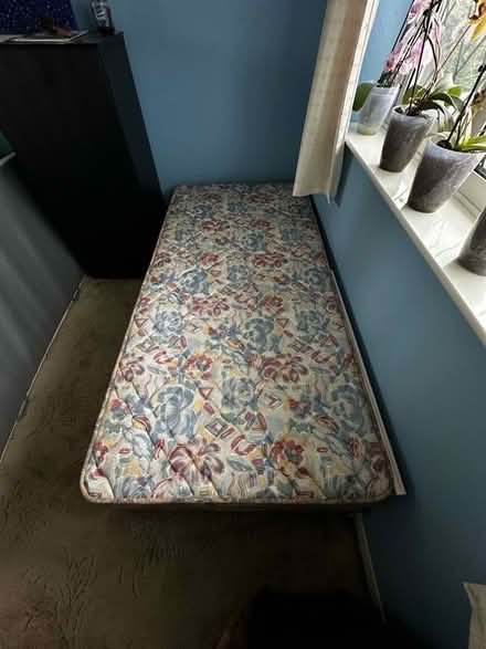 Photo of free Single bed (ME2) #4