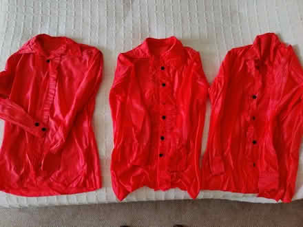 Photo of free 1970's stage costumes (Kentwood RG31) #3