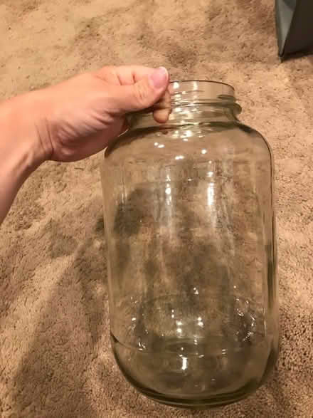 Photo of free 4 vases, one big jar (Leedom, Ridley park) #2