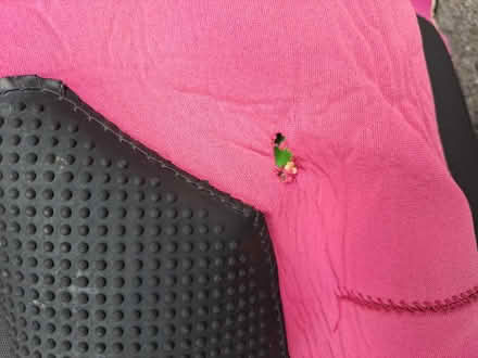 Photo of free Wetsuit (Lytchett Matravers, Poole BH16) #3