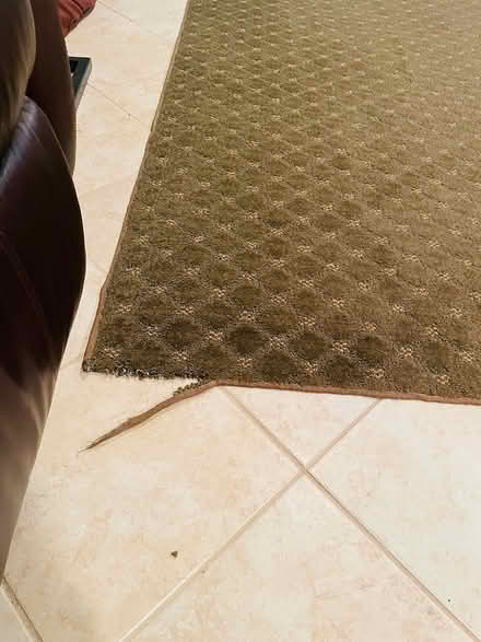 Photo of free 10x12 AREA RUG (Near Hindu Temple) #3