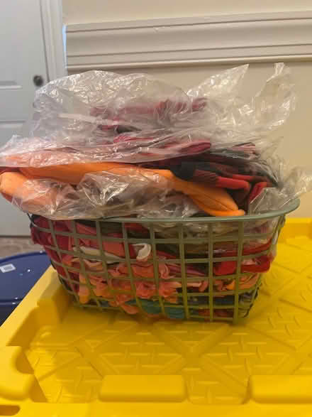 Photo of free Dog clothes (Sunrise) #1