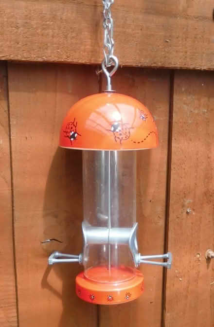 Photo of free Bird Feeder (Talbot Village BH12) #1