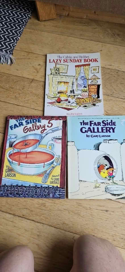 Photo of free Far side and calvin and hobs (Bath, weston) #1