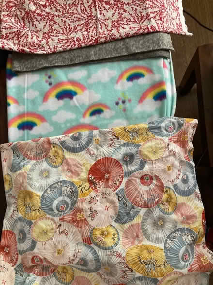 Photo of free Fabric Scraps (East Village (Mack & Van Dyke)) #3
