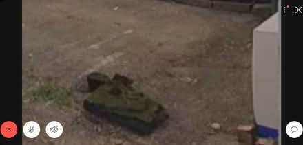 Photo of free Live turf grass (Morden SM4) #1