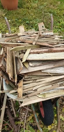 Photo of free Wood for burning (Cranfield MK43) #1