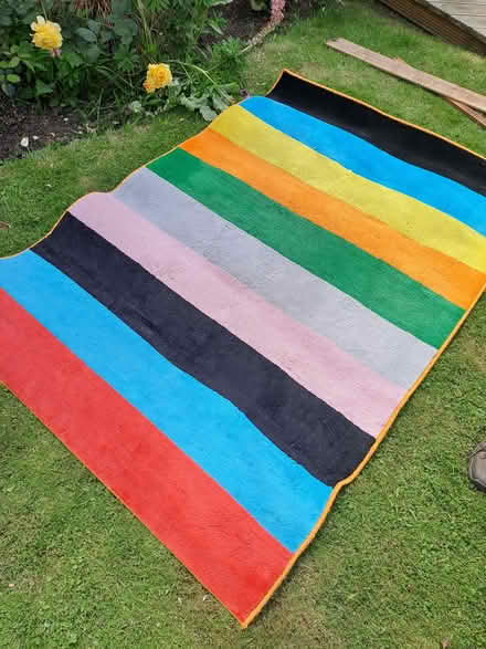 Photo of free IKEA Rug (SY3) #1