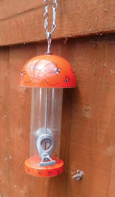 Photo of free Bird Feeder (Talbot Village BH12) #2