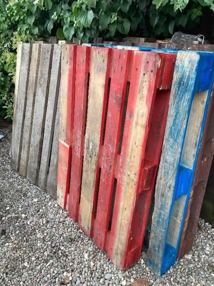 Photo of free 7 pallets (Cromer Hyde AL8) #1