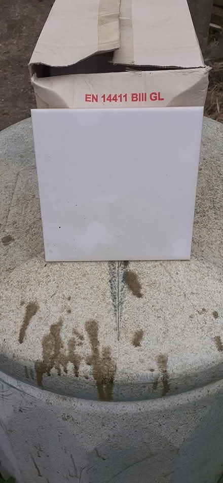 Photo of free Ceramic white tiles (Holland on Sea) #2