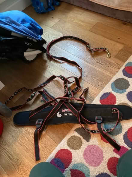 Photo of free Dog lead with belt for the owner (Feltham TW13) #2