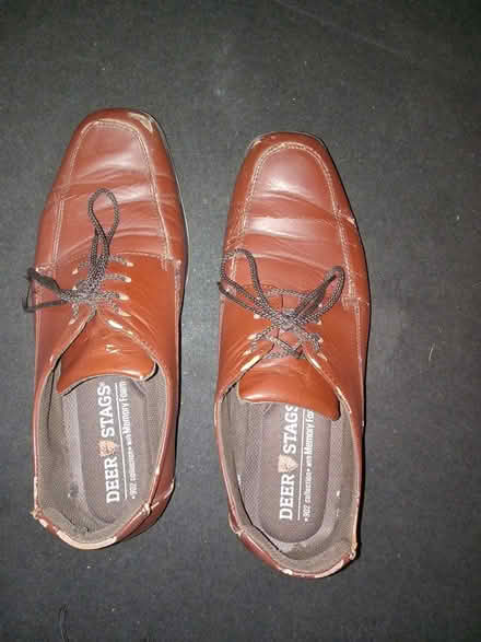 Photo of free Deer Stags Shoes (90019) #1