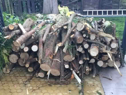 Photo of free Logs (Littleover - DE23)